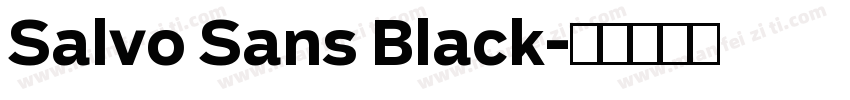 Salvo Sans Black字体转换
